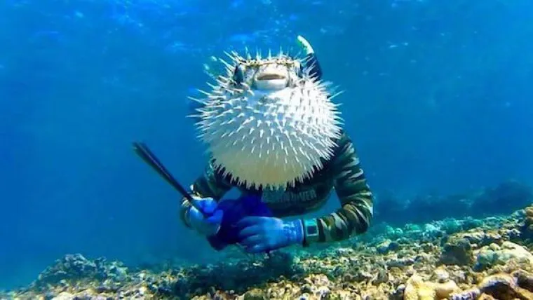 SVE JE U TAJMINGU: Uslikali ih ba&scaron; u pravi trenutak, pogledajte kakvu čaroliju su uspjeli uhvatiti objektivom