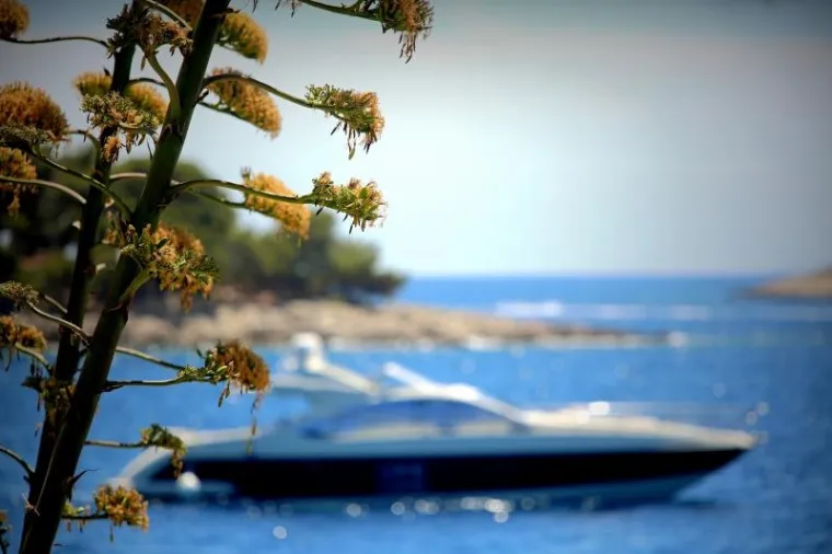 SUNCE, MORE, SOL - I OBLINE: Seksi turistice ljetuju na Hvaru i mame uzdahe u minijaturnim bikinijima