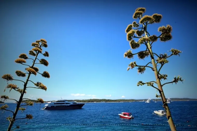 SUNCE, MORE, SOL - I OBLINE: Seksi turistice ljetuju na Hvaru i mame uzdahe u minijaturnim bikinijima