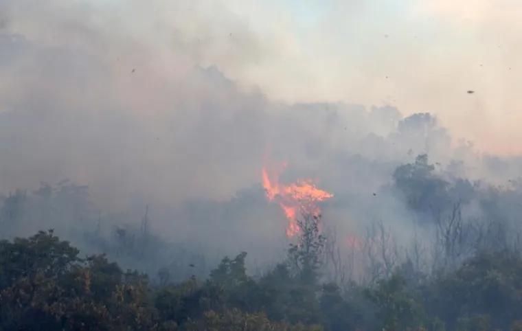 GORI KOD ZADRA: Policajci poku&scaron;avaju održati požar pod kontrolom na nepristupačnom terenu