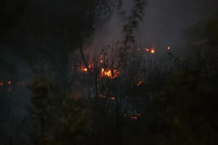POŽAR NA HVARU KOJI JE ZAPRIJETIO KUĆAMA: Izgorjelo 4-5 hektara guste borove &scaron;ume