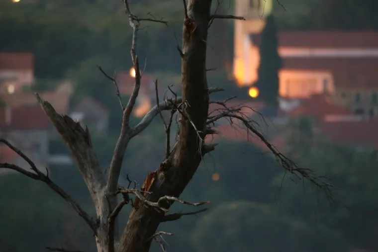 Hvar: vatrogasci gase požar koji je u popodnevnim satima zahvatio &scaron;umu između Vrbnja i Svirča