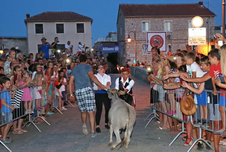 Tribunj: Povodom 50. jubilarne trke magaraca po prvi puta u povijesti jahale su žene