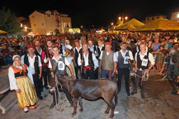 TOVAR MIŠKO OSVOJIO TITULU: Održana 50. jubilarna utrka magaraca u Tribunju, bilo je itekako zabavno