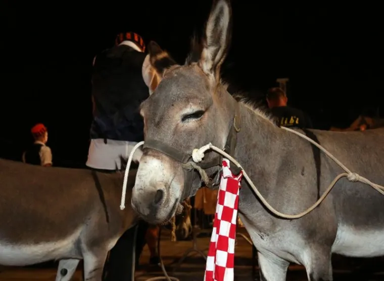 Pobijedio je Anđelino Perkov na magarcu Mišku