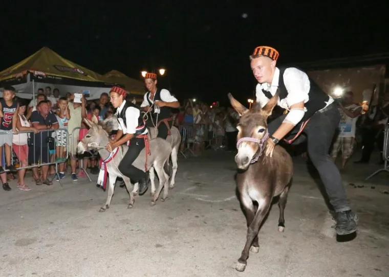 TOVAR MI&Scaron;KO OSVOJIO TITULU: Održana 50. jubilarna utrka magaraca u Tribunju, bilo je itekako zabavno