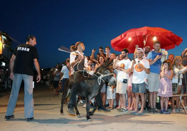 TOVAR MI&Scaron;KO OSVOJIO TITULU: Održana 50. jubilarna utrka magaraca u Tribunju, bilo je itekako zabavno