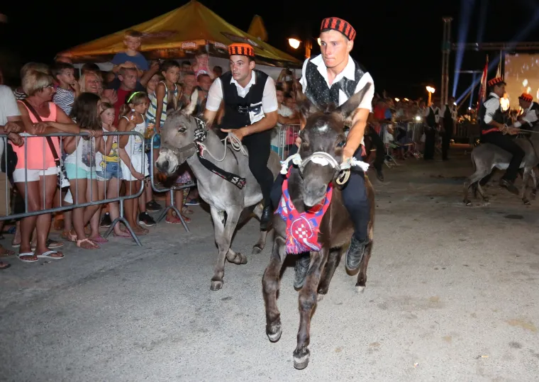 Tribunj: 50. jubilarna trka magaraca