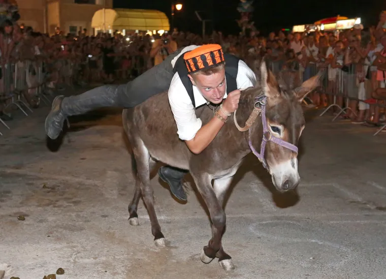 Tribunj: 50. jubilarna trka magaraca