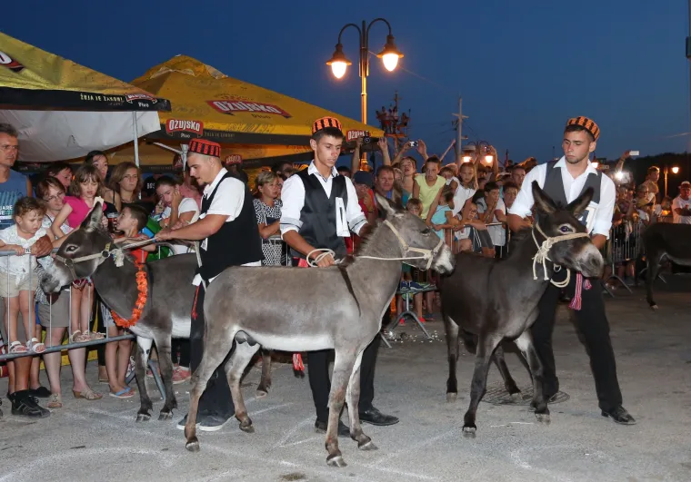 Tribunj: 50. jubilarna trka magaraca