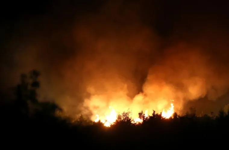 Veliki &scaron;umski pozar tijekom noći ugrozio je kuće u zaseoku Zelići pokraj Knina.             Photo: Dusko Jaramaz/PIXSELL