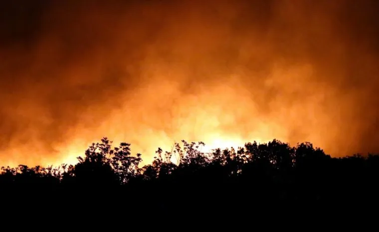 VELIKI &Scaron;UMSKI POŽAR: Cijele noći gorjelo je u Zelićima pokraj Knina