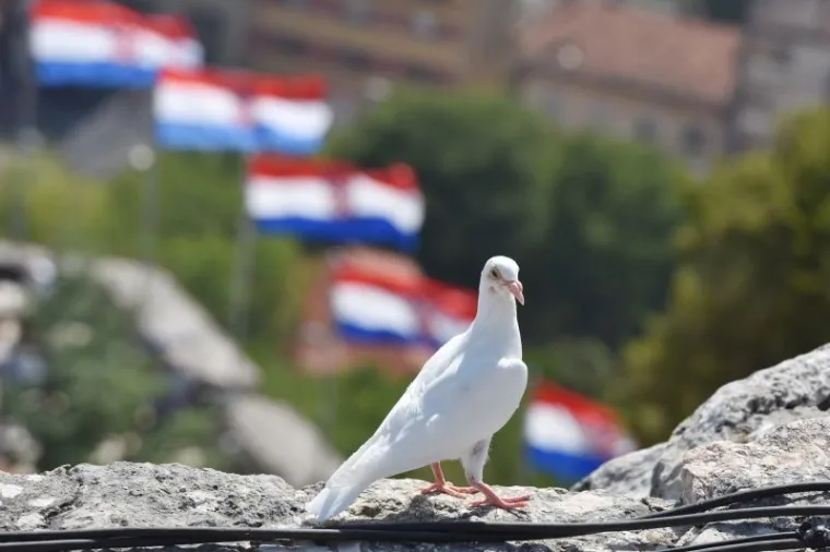 SVEČANI TRENUTAK PODIZANJA HRVATSKE ZASTAVE: Premijer i predsjednica na kninskoj tvrđavi održali govore