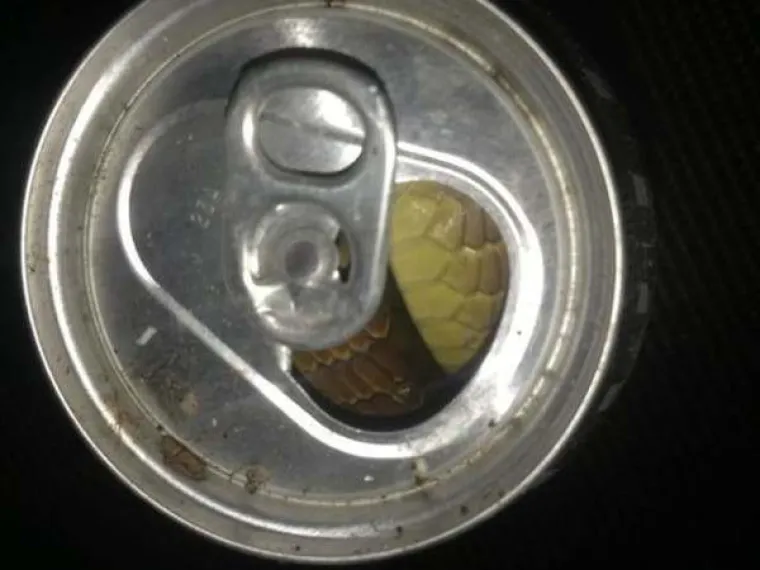 Testirajte se na stravičnim prizorima od kojih će većini otkazati koljena