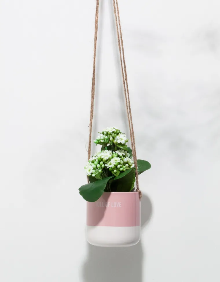 Ukrasna staklenka, 69,90 kuna