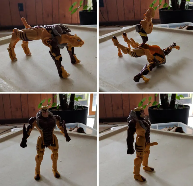 Transformacija za 10!