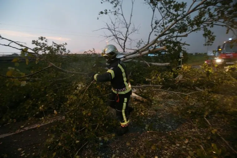 Olujni vjetar oborio stablo na Aveniji Većeslava Holjevca