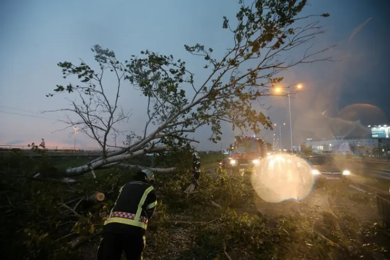 Olujni vjetar oborio stablo na Aveniji Većeslava Holjevca