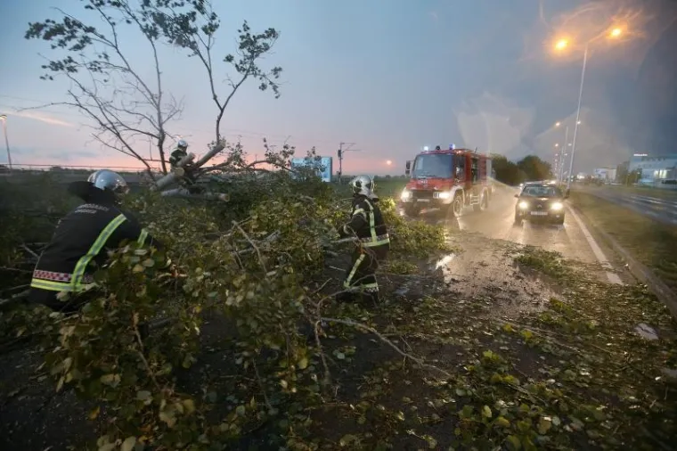 Olujni vjetar oborio stablo na Aveniji Većeslava Holjevca