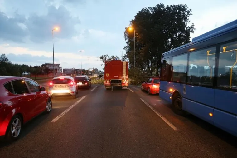 Brzom intervencijom vatrogasaca uklonjeno je drvo koje je olujni vjetar sru&scaron;io na dvije prometne trake na Aveniji Većeslava Holjevca u smjeru Velike Gorice, čime je zaustavljen promet. Nakon &scaron;to su vatrogasci uklonili drvo isti je nastavljen.