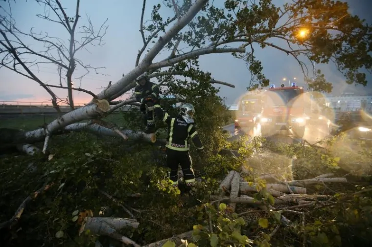 Brzom intervencijom vatrogasaca uklonjeno je drvo koje je olujni vjetar sru&scaron;io na dvije prometne trake na Aveniji Većeslava Holjevca u smjeru Velike Gorice, čime je zaustavljen promet. Nakon &scaron;to su vatrogasci uklonili drvo isti je nastavljen.
