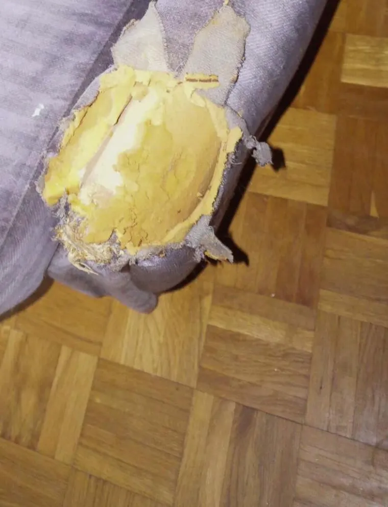 Podstanarka iz pakla