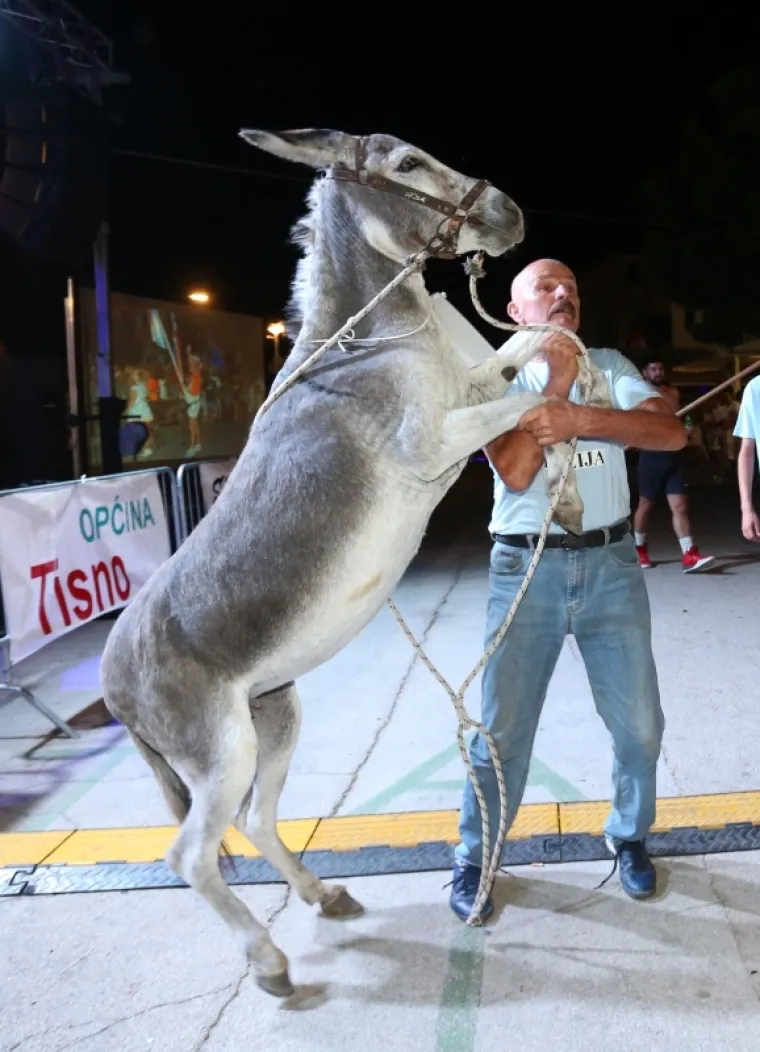 POZNATI KOMIČAR POSTAO &Scaron;APTAČ MAGARCIMA: Na Međunarodnoj utrci tovara u Tisnom nije manjkalo smijeha