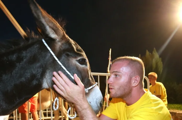 Na ti&scaron;njanskoj Rudini održana je 12. međunarodna utrka tovara. Natjecalo se 12 ekipa na 12 magaraca. Pobjedu je ove godine odnijela ekipa Italije na magarcu Rajka. Drugoplasirani su Francuzi dok su treće mjesto osvojili Slovenci.