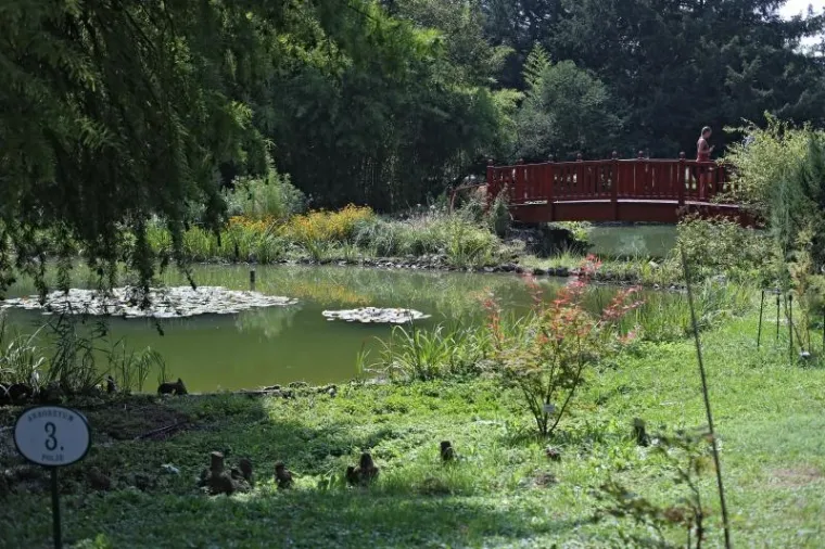 Botanički vrt je prema web stranici TripExpert.com progla&scaron;en jednom od najljep&scaron;ih atrakcija u Zagrebu.