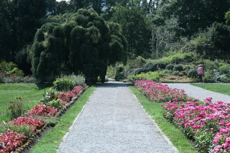 Botanički vrt je prema web stranici TripExpert.com progla&scaron;en jednom od najljep&scaron;ih atrakcija u Zagrebu.