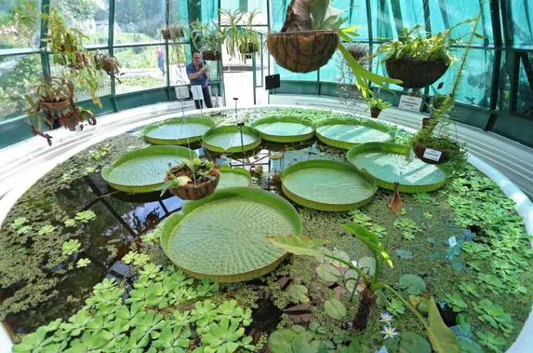 Botanički vrt je prema web stranici TripExpert.com progla&scaron;en jednom od najljep&scaron;ih atrakcija u Zagrebu.