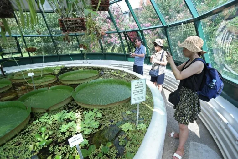 Botanički vrt je prema web stranici TripExpert.com progla&scaron;en jednom od najljep&scaron;ih atrakcija u Zagrebu.