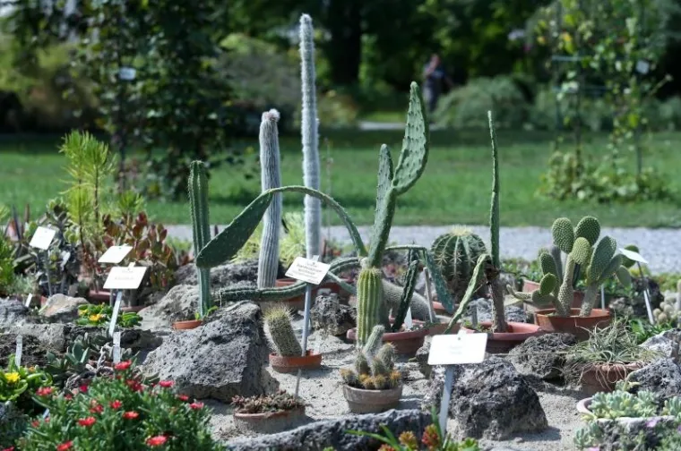 Botanički vrt je prema web stranici TripExpert.com progla&scaron;en jednom od najljep&scaron;ih atrakcija u Zagrebu.