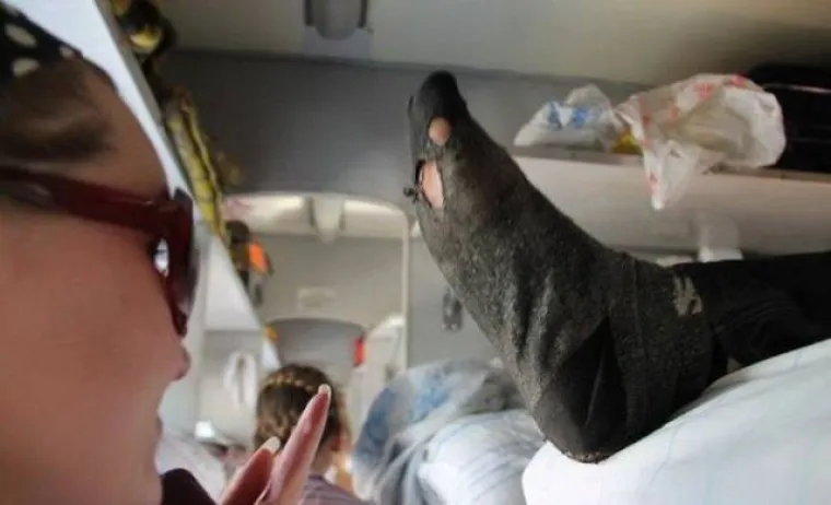 BISTE LI SE IKADA VOZILI OVIM VLAKOM? Ako mislite da ste vidjeli sve, zavirite u ruski vlak, to je neki drugi svijet