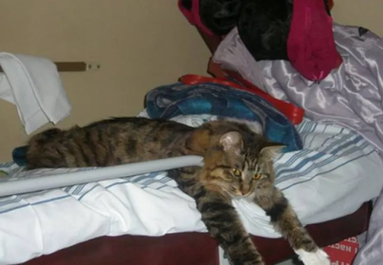 BISTE LI SE IKADA VOZILI OVIM VLAKOM? Ako mislite da ste vidjeli sve, zavirite u ruski vlak, to je neki drugi svijet