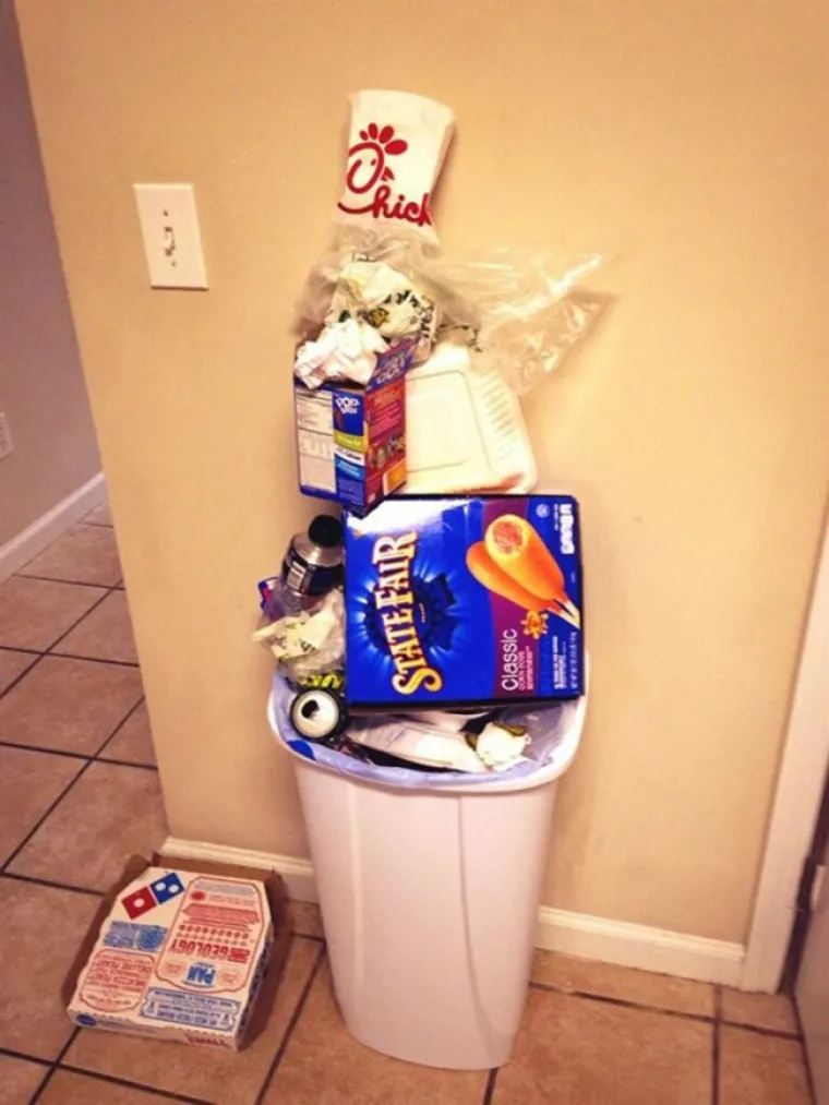 Ovako izgleda kanta za smeće u obitelji lijenčina.