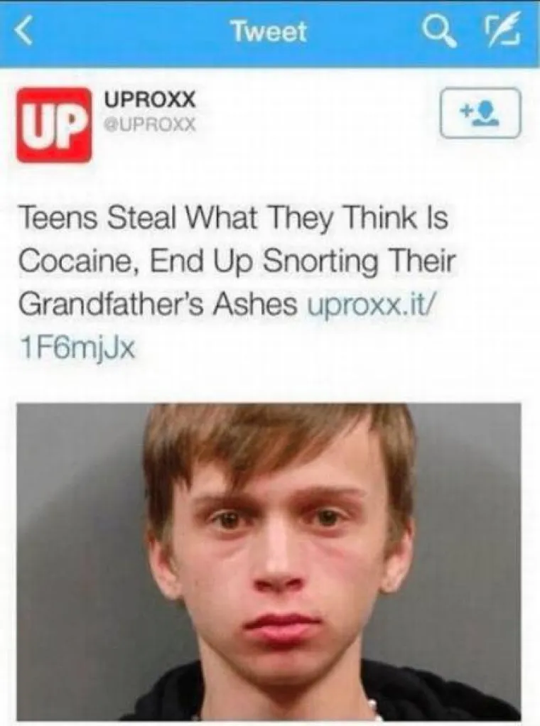 Baš kada pomislimo da smo vidjeli već sve, pojave se prizori koji na iznova iznenade svojom bizarnošću. Neke od njih okupili smo u galeriji koja će i vama pokazati da još postoje neotkriveni biseri interneta.