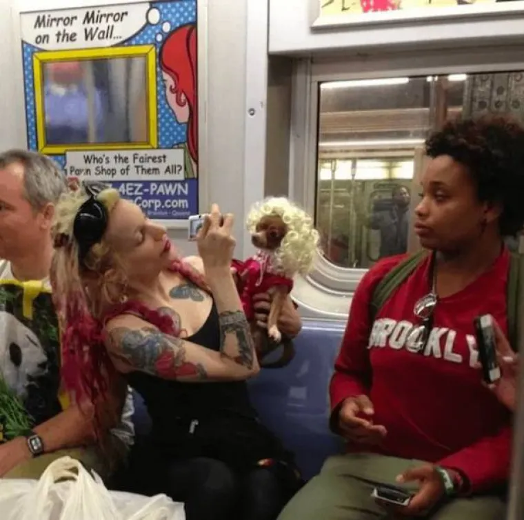 MISLITE DA STE VEĆ SVE VIDJELI? Pogledajte morbidne prizore s interneta i razmislite ponovno...