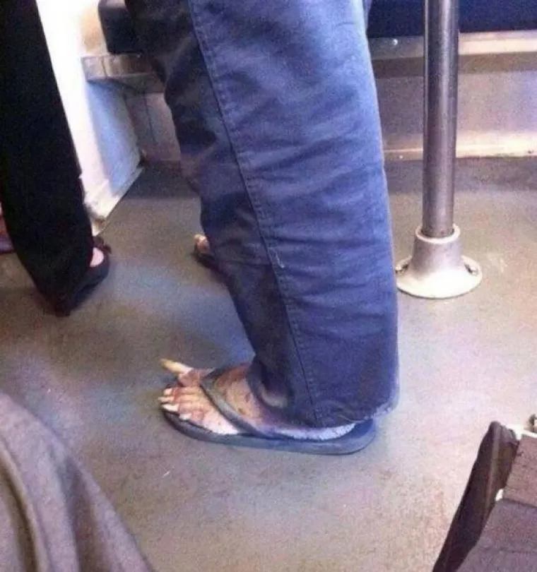 MISLITE DA STE VEĆ SVE VIDJELI? Pogledajte morbidne prizore s interneta i razmislite ponovno...