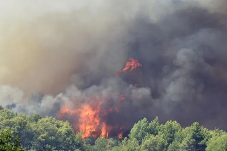 "Požar kod Zatona se širi i još nije po kontrolom, a s terena nam javljaju da ide prema Zatonu. Trenutno ga gasi 71 vatrogasac uz pomoć jednog kanadera i tri air traktora", kažu u  Županijskom centru 112.  Na požarištu blizu Rogoznice trenutno je na terenu 17 vatrogasaca, a u pomoć su došle kolege iz Splitsko-dalmatinske županije, DVD Marina i DVD Seget, kažu u Županijskom centru 112. (Hina)