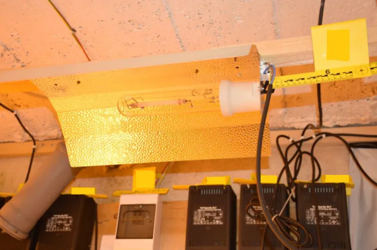 Zbog  želje da uredi kupaonicu u tro&scaron;noj kućici u Bi&scaron;kupcima, umirovljenik Ivan Z. (47) pristao je ustupiti svoj podrum kako bi  u ulozi kućnog botaničara uzgajao indijsku konoplju.