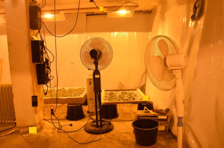 Zbog  želje da uredi kupaonicu u tro&scaron;noj kućici u Bi&scaron;kupcima, umirovljenik Ivan Z. (47) pristao je ustupiti svoj podrum kako bi  u ulozi kućnog botaničara uzgajao indijsku konoplju.