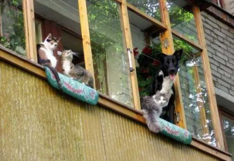 [FOTO] RUSKI BALKONI SU ČISTA UMJETNOST: Mogu pasti svakog trenutka, ali dok stoje su pravi spomenici