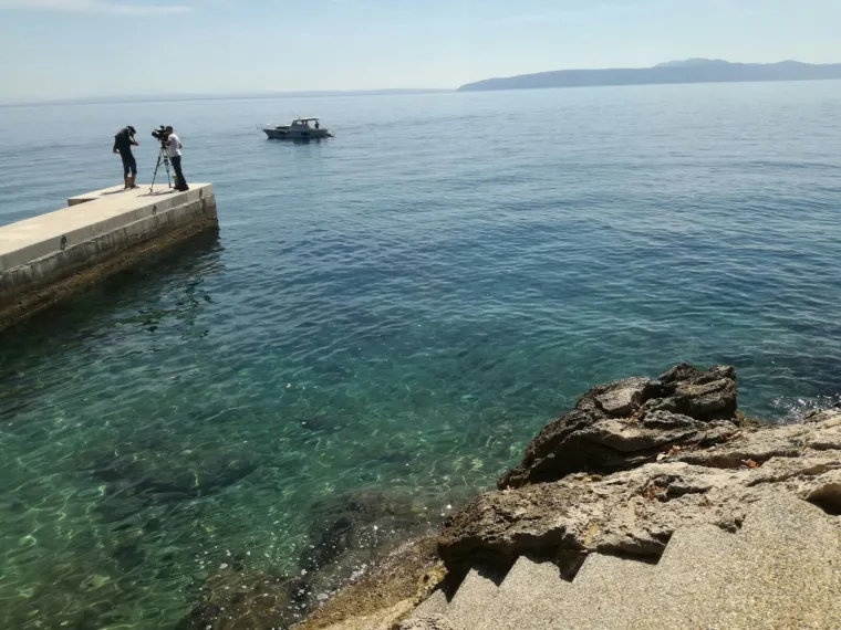 Izvanredna uprava Agrokora na čelu s povjerenikom Antom Ramljakom započela je proces prodaje nekretnine Villa Castello u vlasni&scaron;tvu koncerna.
Riječ je o nekretnini s posjedom koji se nalazi u Medveji u općini Lovran, u blizini Opatije.