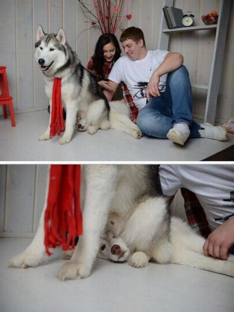 JAKO ČUDNE OBITELJI: Fotke koje su trebale biti lijepe uspomene ispale su dosta neugodne za sve uključene