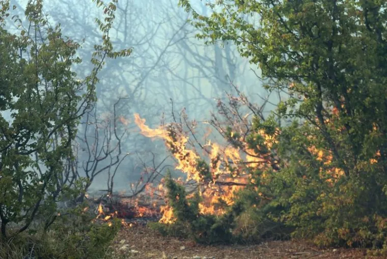 POŽAR KOD BENKOVCA: Gori &scaron;umski teren u selu Bulić u sastavu grada Benkovca