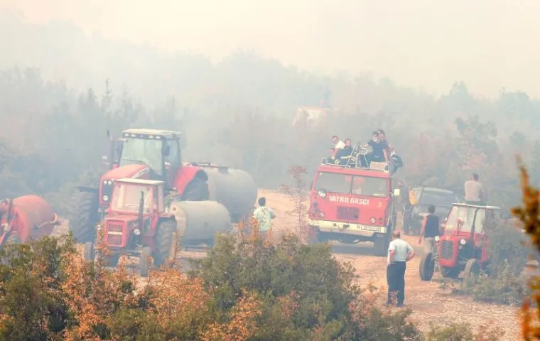 POŽAR KOD BENKOVCA: Gori &scaron;umski teren u selu Bulić u sastavu grada Benkovca