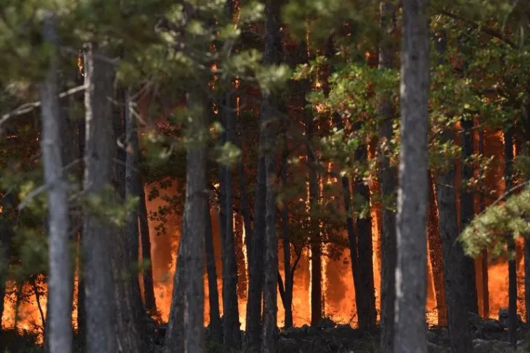 POŽAR KOD KISTANJA: Jak vjetar vatrogascima otežava ga&scaron;enje