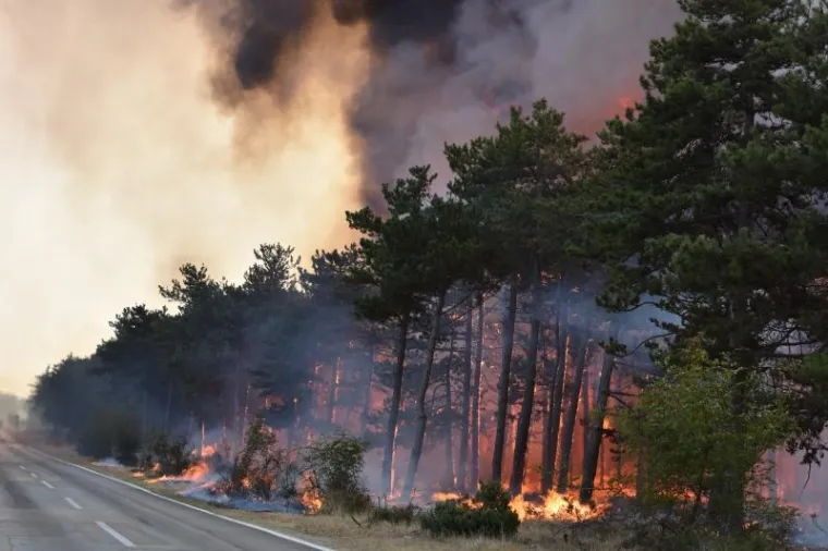 POŽAR KOD KISTANJA: Jak vjetar vatrogascima otežava ga&scaron;enje