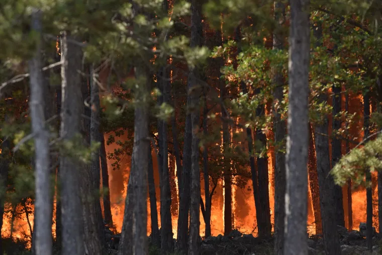 Požari na zadarskom području